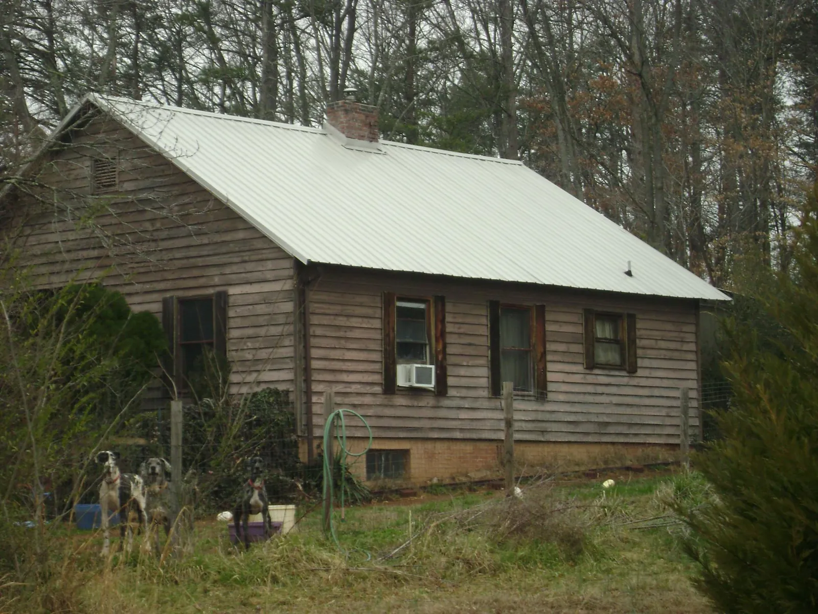 White metal roof on an old wood sided farmhouse, from a Metal Roof Installation job in Clio